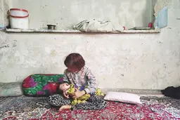 سارقانی با نمای جدید
