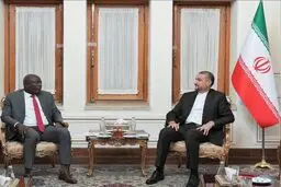  ایران توسعه روابط با کشورهای آفریقائی را در دستور کار خود قرار داده است

