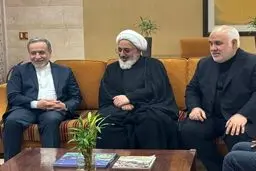 عراقچی به هند رسید 