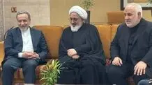 عراقچی به هند رسید 