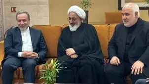 عراقچی به هند رسید 