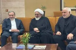عراقچی به هند رسید 