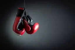 بوکسور کرجی در حملات اسرائیل به شهادت رسید