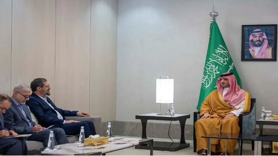 دیدار رئیس سازمان حج ایران با وزیر کشور عربستان