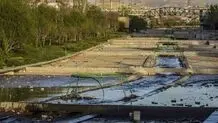 ماجرای آسفالت رودخانه در الیگودرز چه بود؟