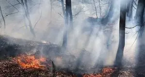 درس‌های آتش هیرکانی؛ زنگ بیدارباش برای مدیریت بحران