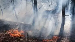 درس‌های آتش هیرکانی؛ زنگ بیدارباش برای مدیریت بحران