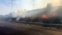 ‎۳۸۰ نویسنده به نسل‌کشی در غزه اعتراض کردند
