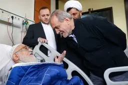 دیدار رییس جمهور از نوری همدانی