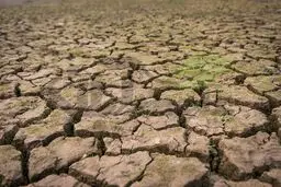 فرسایش خاک در ایران ۶ برابر دنیاست
