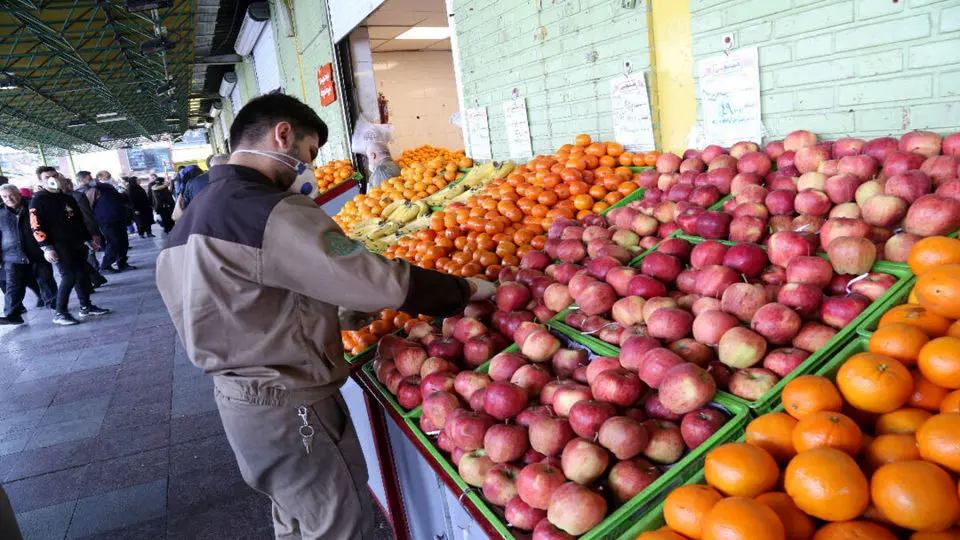 افزایش خرید دانه‌ای میوه در سال جاری