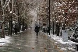 بارش برف و باران در برخی نقاط کشور


