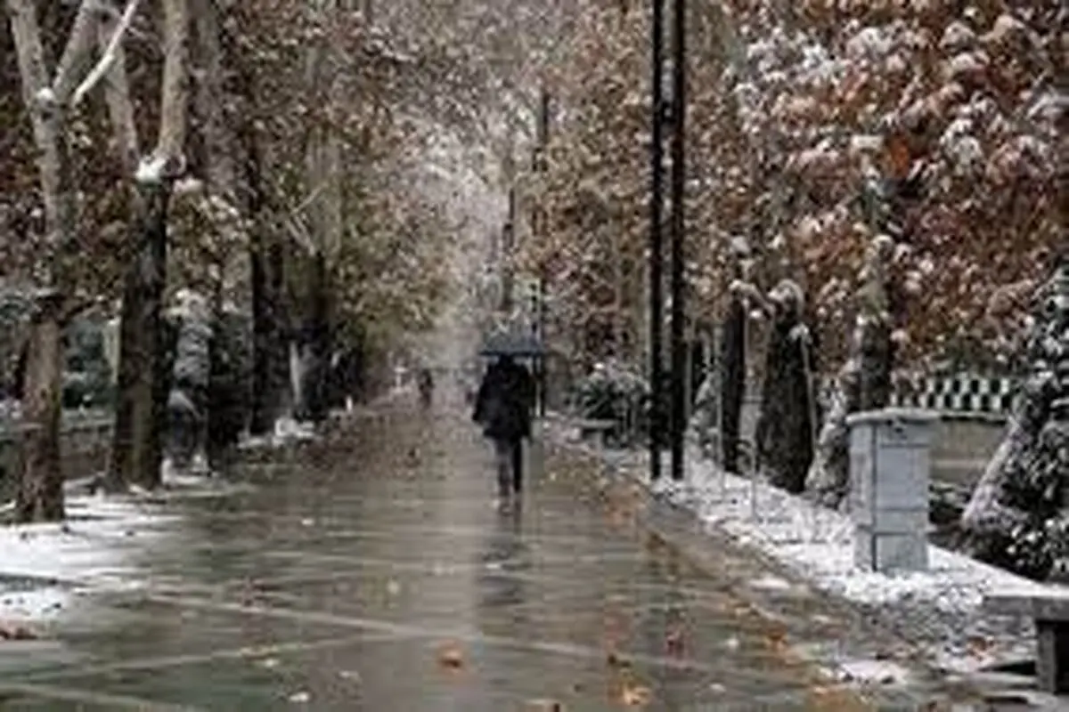 بارش برف و باران در برخی نقاط کشور

