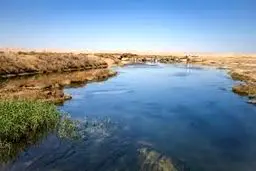 داستان پتاس
