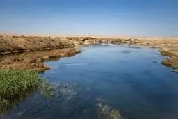 داستان پتاس
