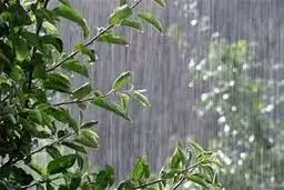 هوای بارانی ۱۲ استان کشور طی امروز/ کاهش دمای نوار شمالی در روز جمعه


