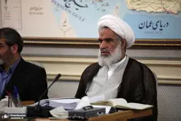 شورای نگهبان در جهان بی‌نظیر است