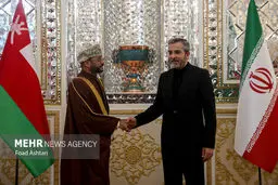 Iran, Oman to cooperate to stop Israeli crimes in Gaza