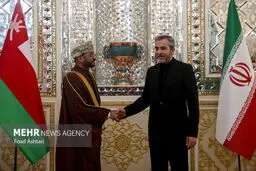 Iran, Oman to cooperate to stop Israeli crimes in Gaza