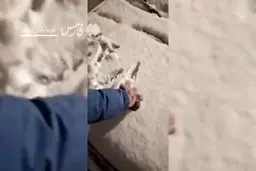 برف شبانه بر چهره تبریز؛ هم اکنون+ ویدئو