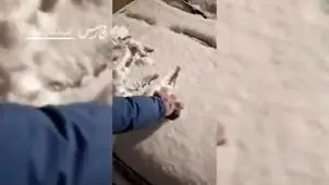 برف شبانه بر چهره تبریز؛ هم اکنون+ ویدئو