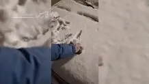 برف شبانه بر چهره تبریز؛ هم اکنون+ ویدئو