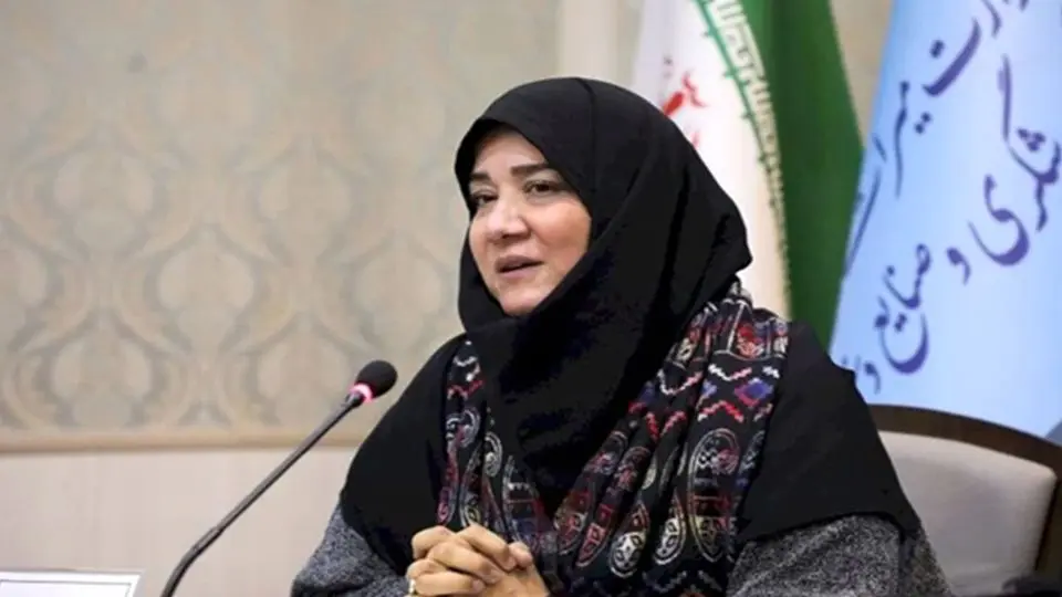 برنامه وزارت میراث فرهنگی و گردشگری برای ترویج فرهنگ حجاب