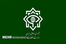Kerman suicide bomber Israeli with Tajik citizenship