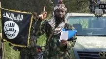 سازمان ملل درباره گسترش فعالیت داعش و القاعده در آفریقا هشدار داد