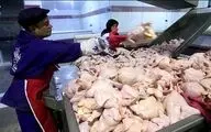  مردم مرغ پیدا نمی‌کنند با کیلویی 100 هزار تومان

