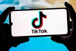 تیک تاک در اندونزی فیلتر شد