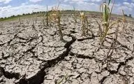 تشدید خشک‌سالی در  ایران  از  ۳۰ سال قبل آغاز شده است
