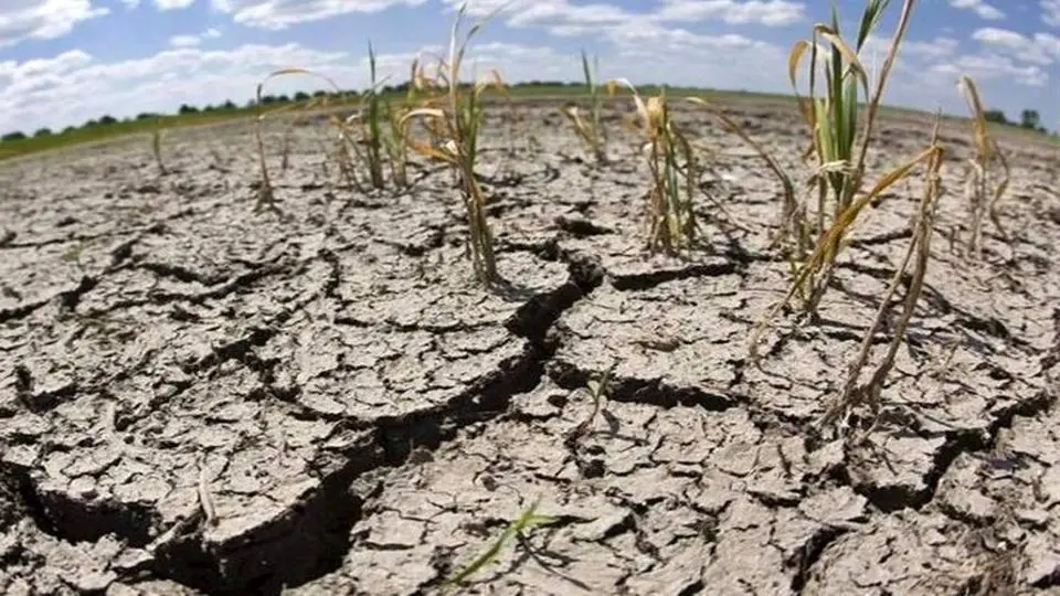 تشدید خشک‌سالی در  ایران  از  ۳۰ سال قبل آغاز شده است
