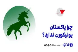  چرا پاکستان یونیکورن ندارد؟