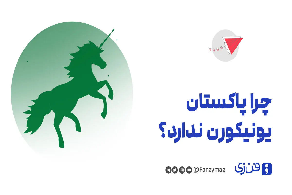  چرا پاکستان یونیکورن ندارد؟
