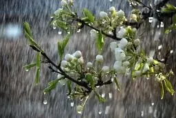 پیش‌بینی هوای همدان؛ جمعه ۸ فروردین ۱۴۰۴