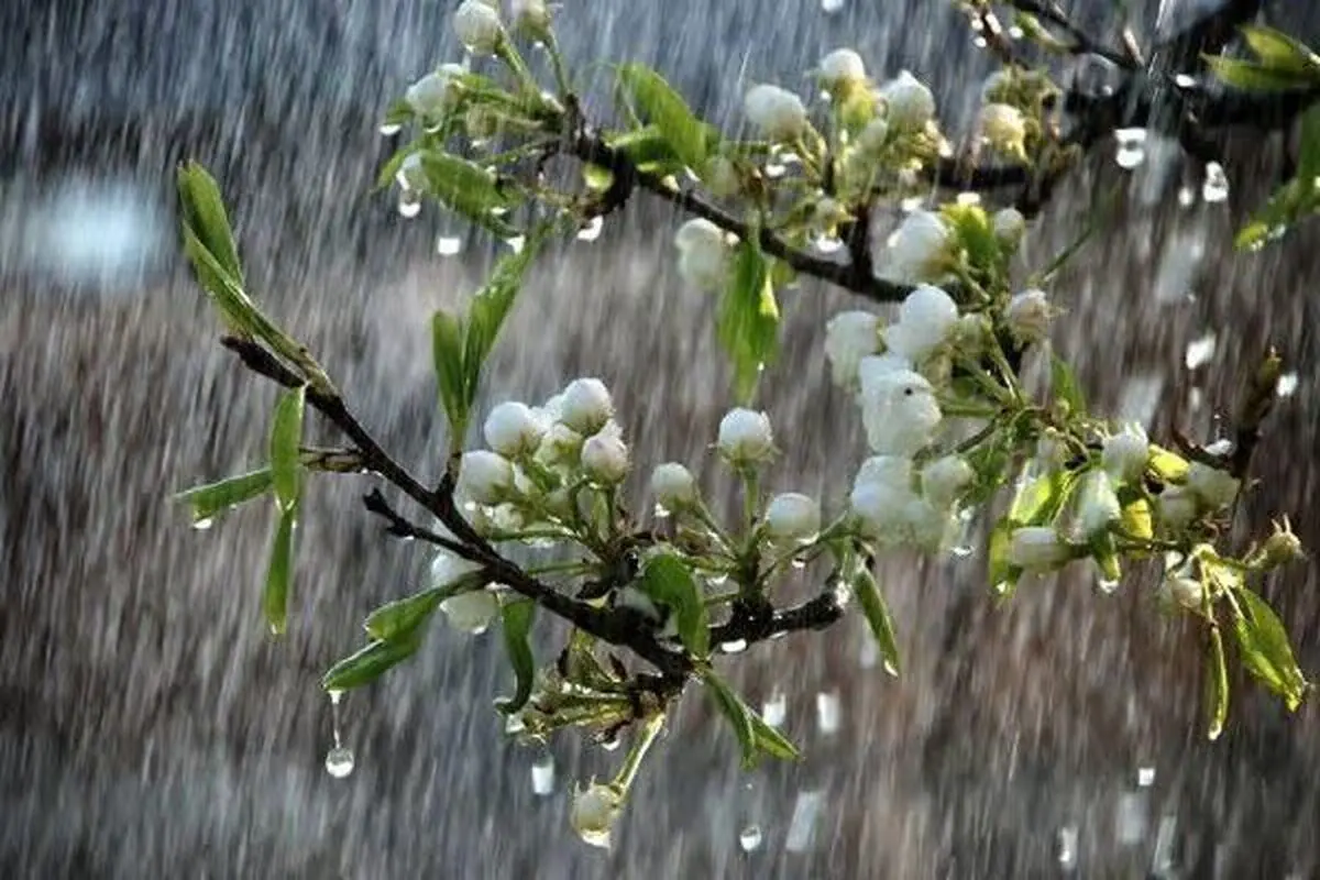 پیش‌بینی هوای همدان؛ جمعه ۸ فروردین ۱۴۰۴