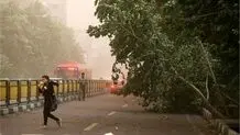 وزش باد شدید و رگبار در پایتخت
