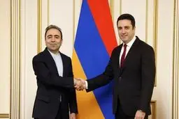 ایروان: ایران شریک بسیار مهمی برای دولت ارمنستان است