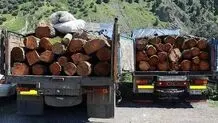 یک هیچ به نفع قاچاقچیان چوب  