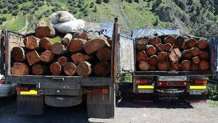 یک هیچ به نفع قاچاقچیان چوب  