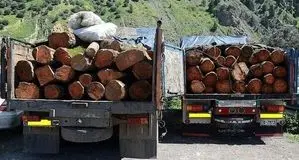 یک هیچ به نفع قاچاقچیان چوب  