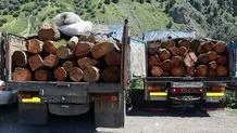یک هیچ به نفع قاچاقچیان چوب  