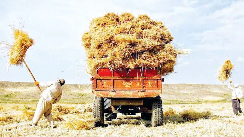 گرفتاران خشکسالی و معیشت