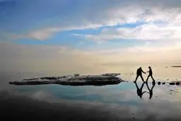 بازگشت فلامینگوها به دریاچه ارومیه/ ویدئو
