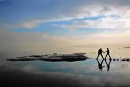 بازگشت فلامینگوها به دریاچه ارومیه/ ویدئو