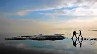 بازگشت فلامینگوها به دریاچه ارومیه/ ویدئو