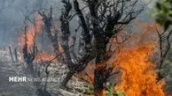 آخرین اخبار درباره آتش‌سوزی گسترده جنگل‌های گلستان