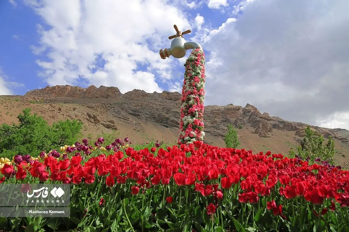 جشنواره لاله ها از فردا آغاز می شود 