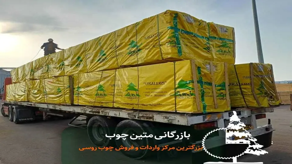 چوب روسی به قیمت عمده و ارزان از کجا بخریم؟